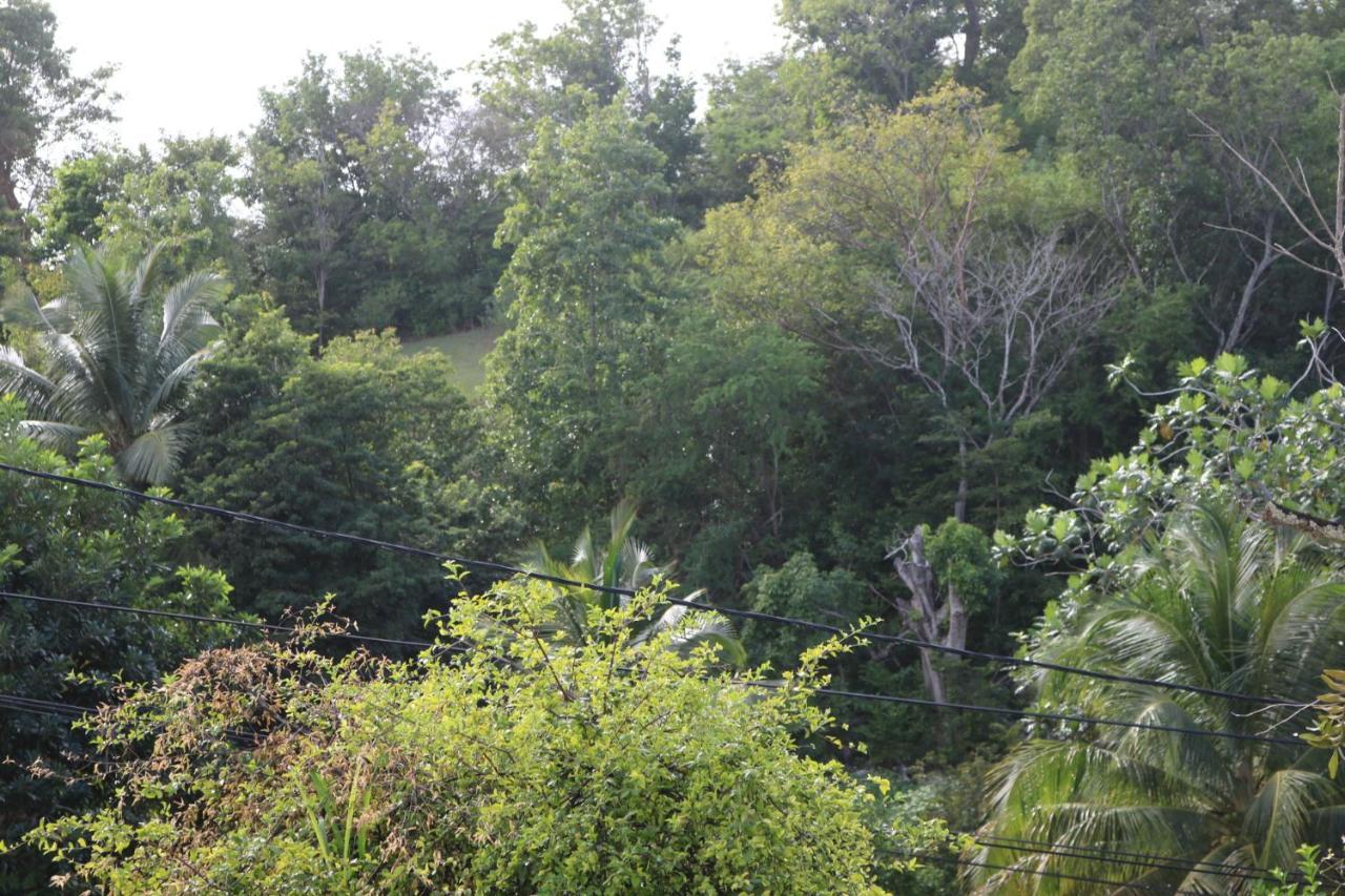 Villa Mahogany Le Gosier  Bagian luar foto