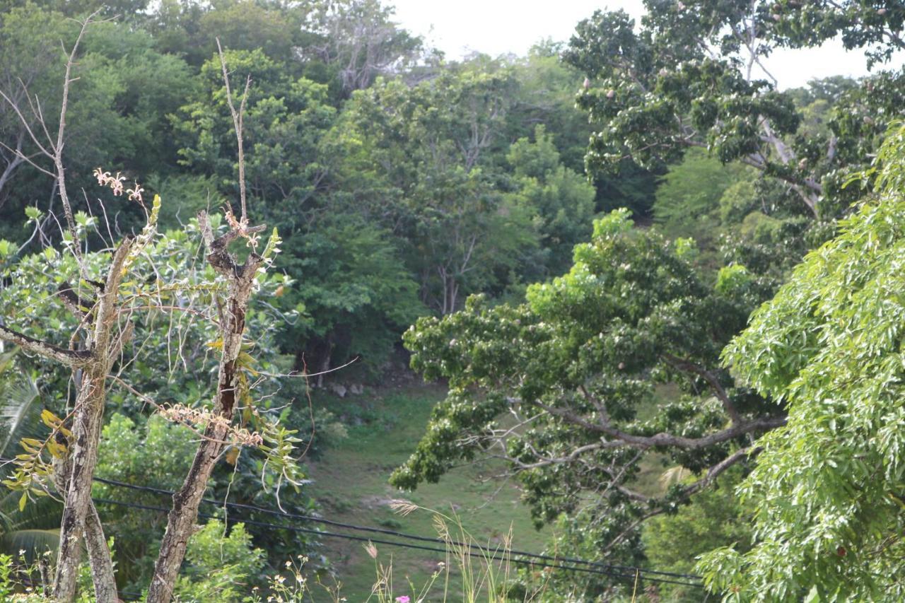 Villa Mahogany Le Gosier  Bagian luar foto