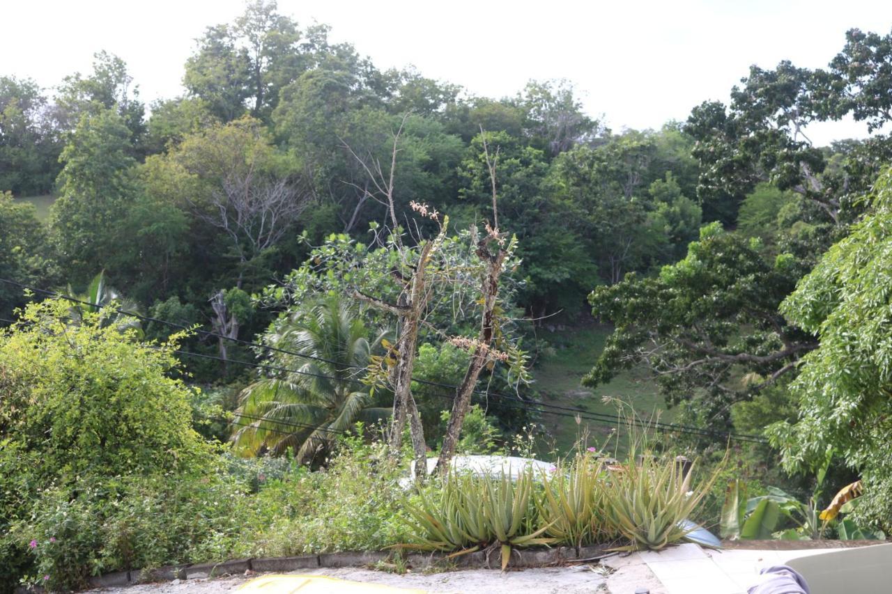 Villa Mahogany Le Gosier  Bagian luar foto