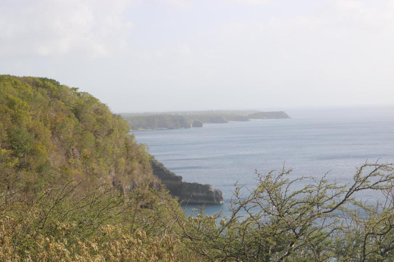 Villa Mahogany Le Gosier  Bagian luar foto